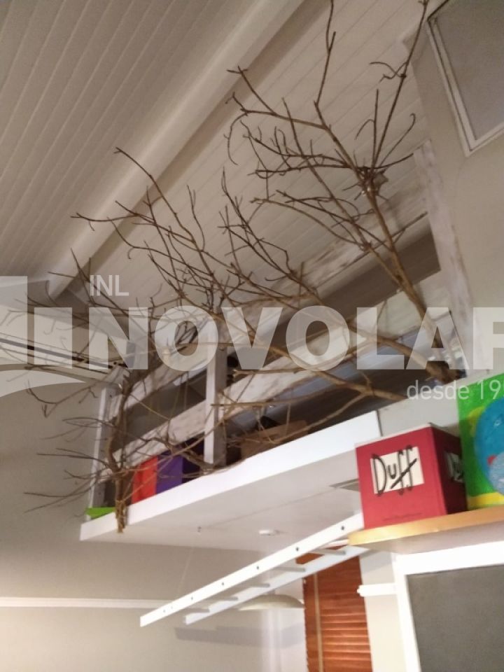 Foto 7 do imóvel SA6981