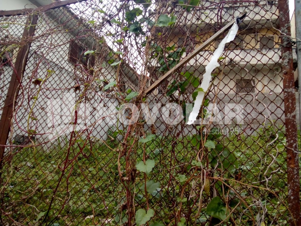 Foto 3 do imóvel SA7414