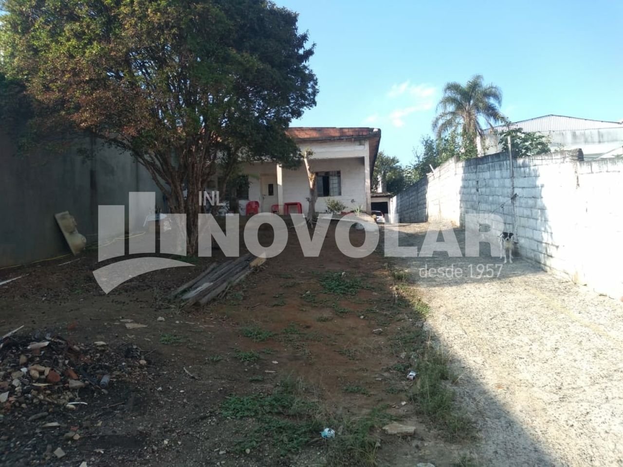 Foto 6 do imóvel SA8690