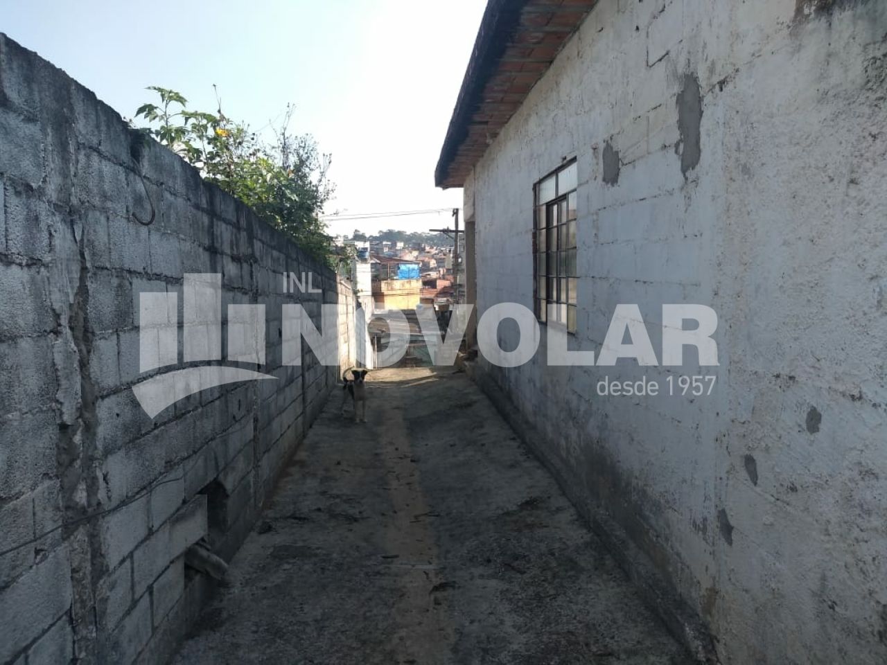 Foto 7 do imóvel SA8690