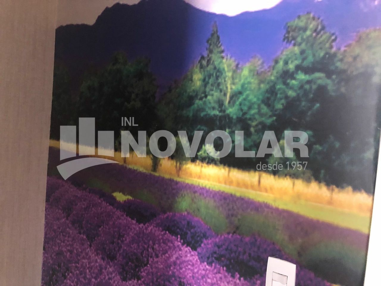 Foto 10 do imóvel SA8769