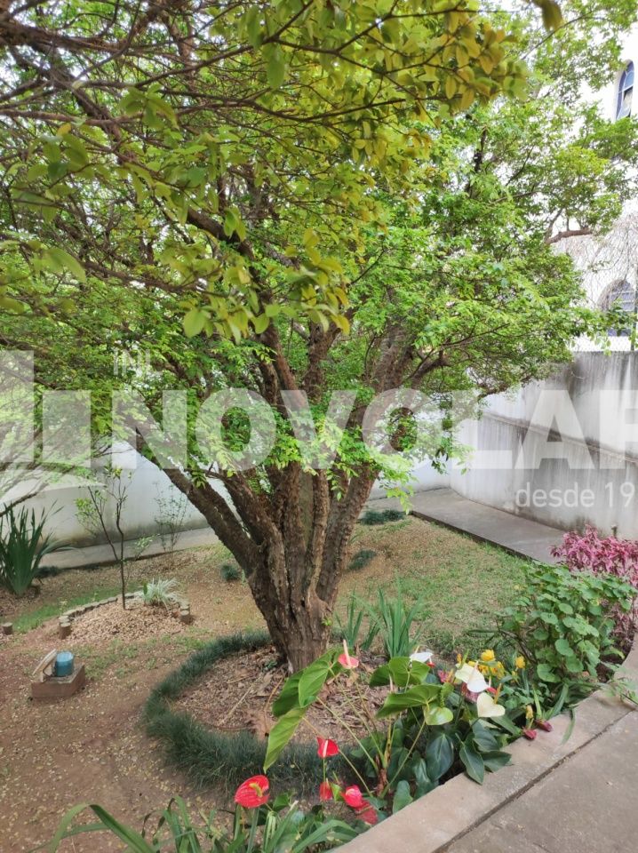 Foto 31 do imóvel SA9123