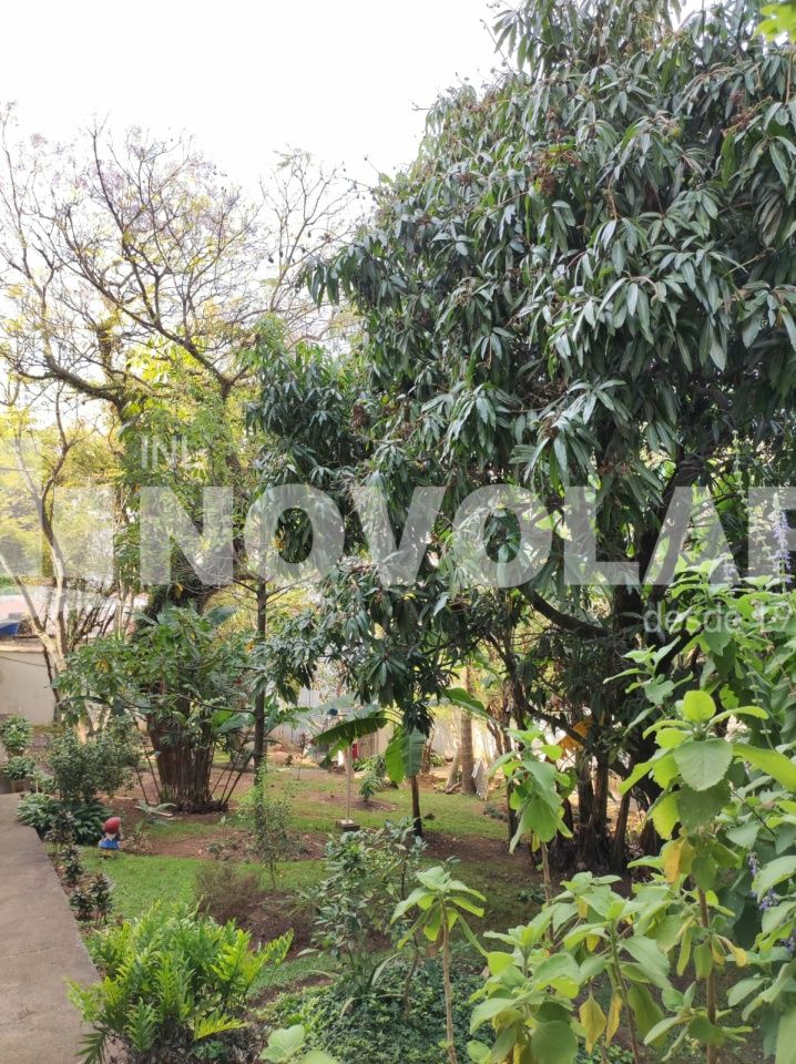 Foto 27 do imóvel SA9123