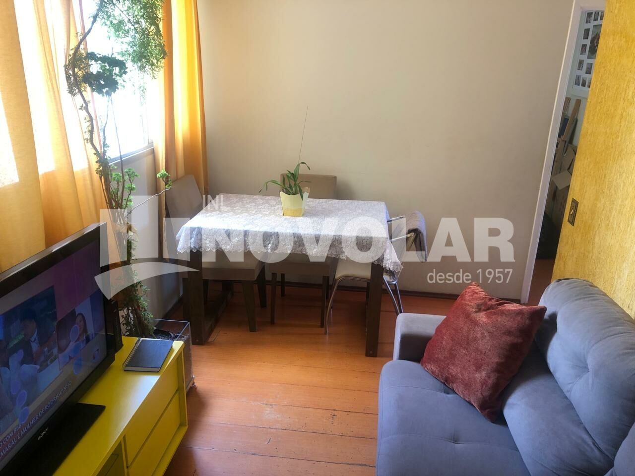 Foto 3 do imóvel SA9234