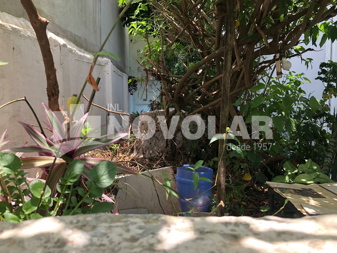 Foto 3 do imóvel SA9531