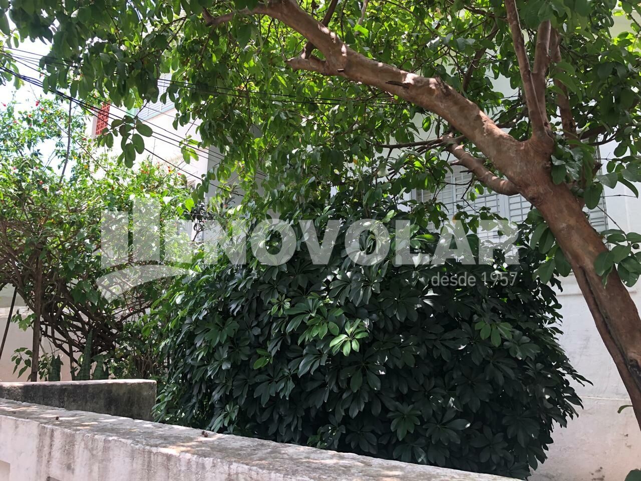 Foto 4 do imóvel SA9531