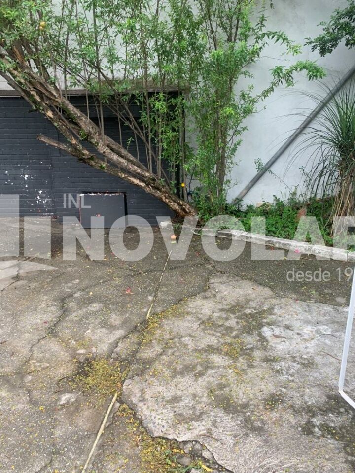 Foto 10 do imóvel SA9547