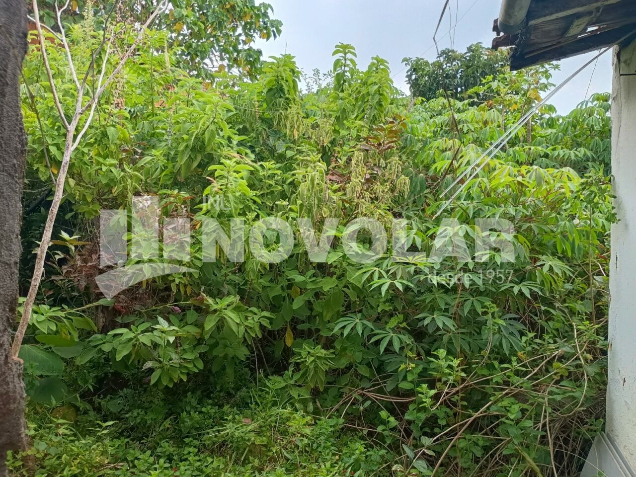 Foto 5 do imóvel SA9610