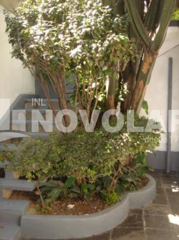 Foto 15 do imóvel VM200395