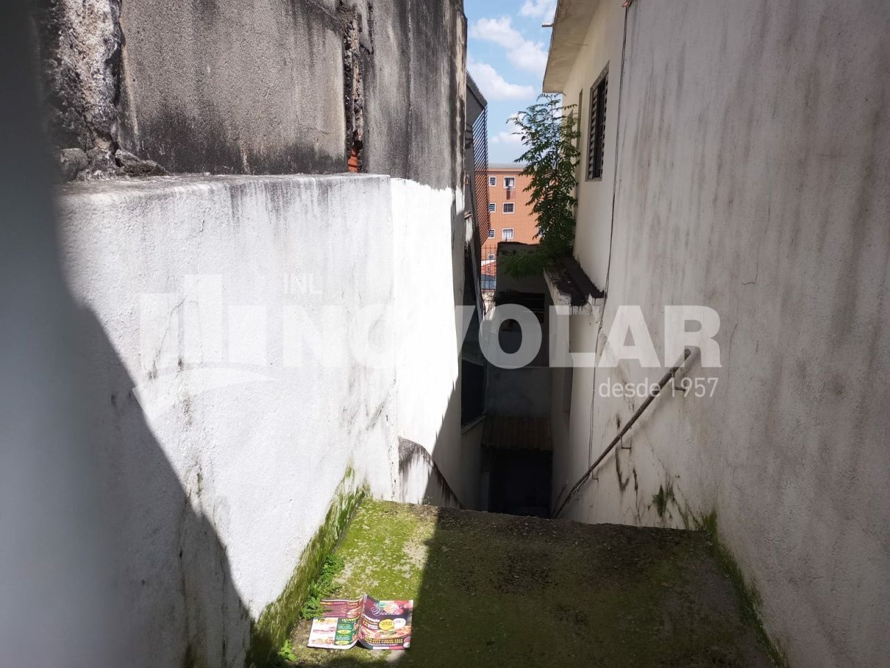 Foto 5 do imóvel VM203744