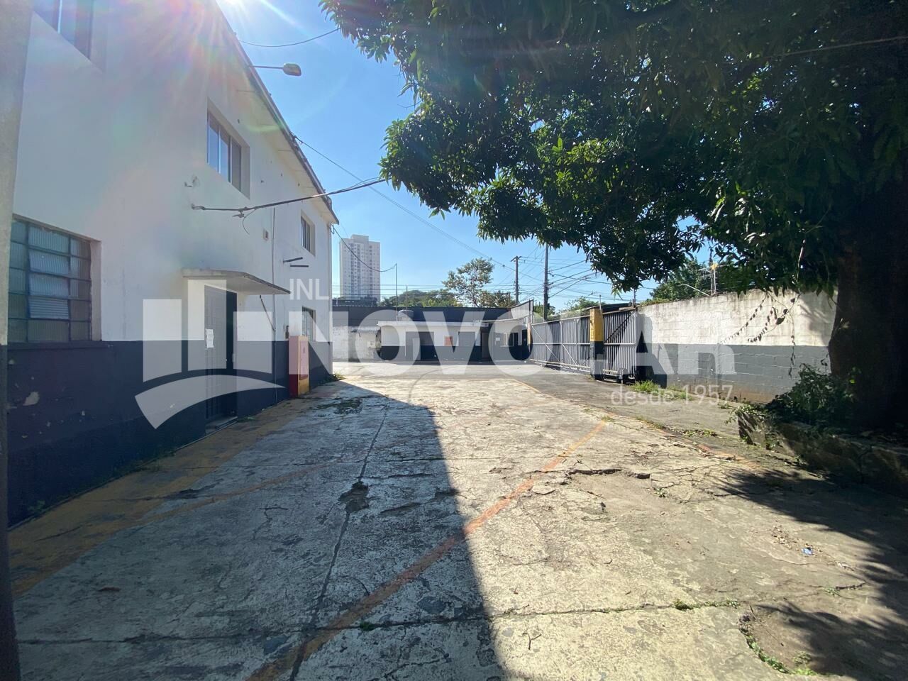 Foto 46 do imóvel VM207038