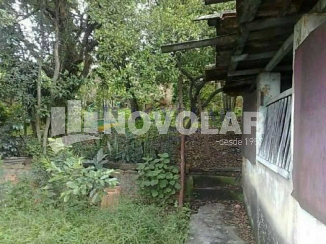 Foto 4 do imóvel VM207375