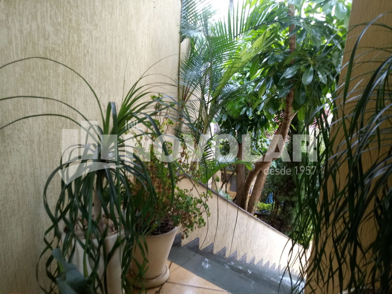 Foto 14 do imóvel VM207561