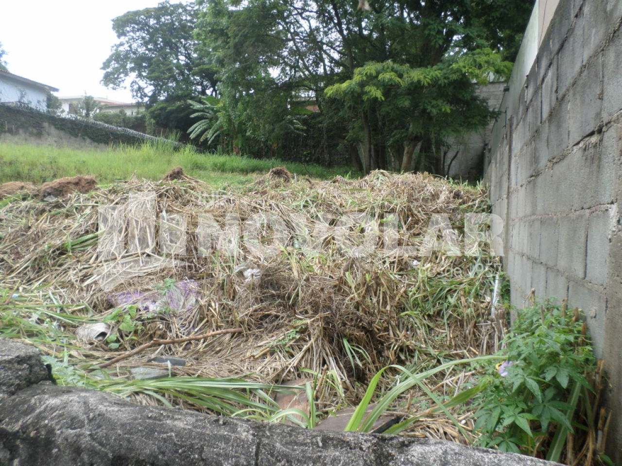 Foto 3 do imóvel VM210296