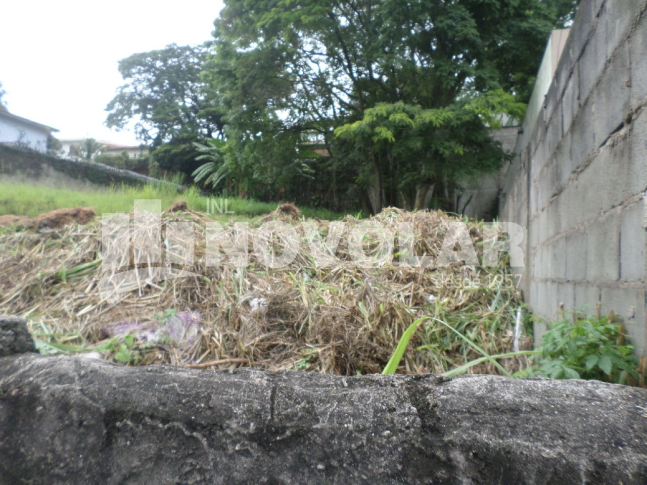 Foto 4 do imóvel VM210296