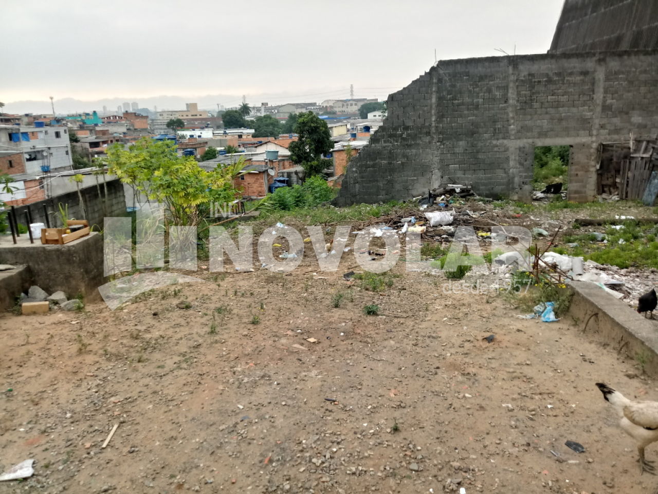 Foto 13 do imóvel VM211177