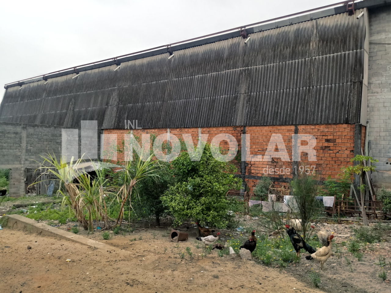 Foto 11 do imóvel VM211177