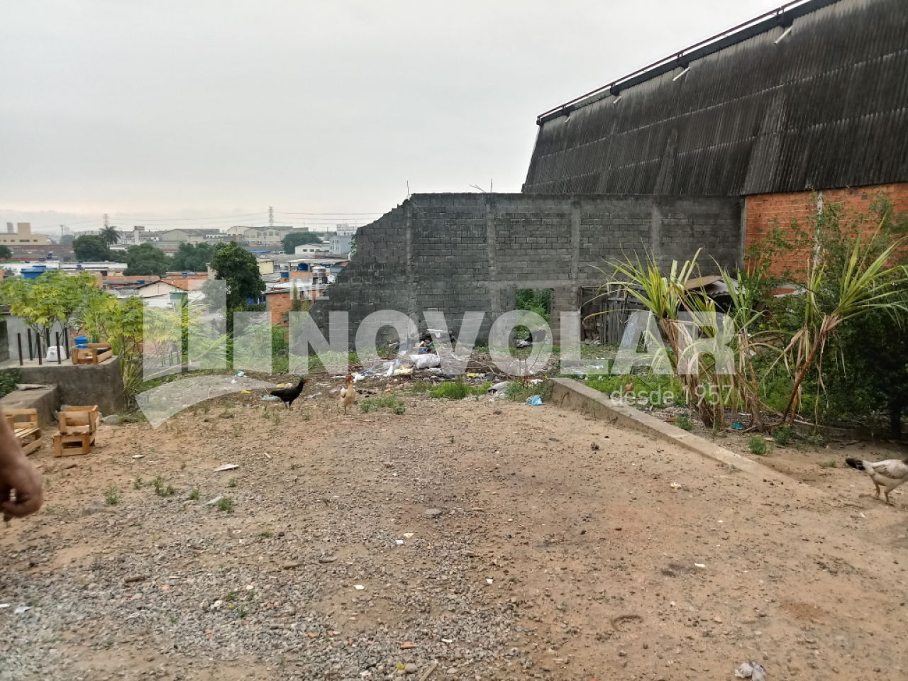 Foto 12 do imóvel VM211177