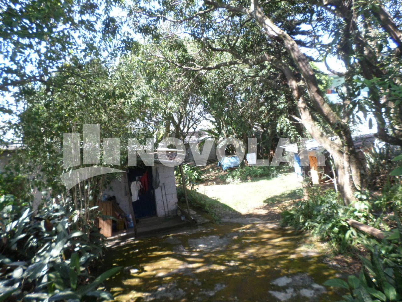 Foto 6 do imóvel VM211247