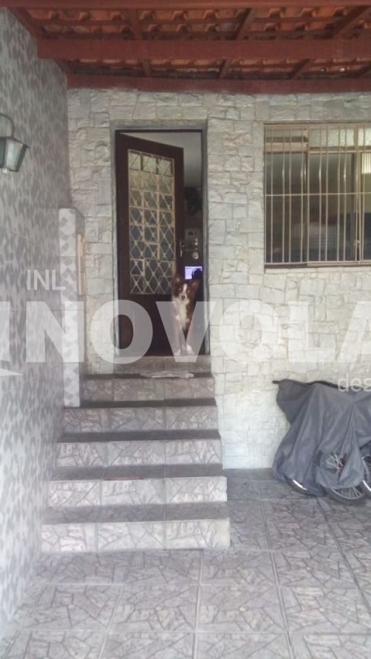 Foto 13 do imóvel VM211307