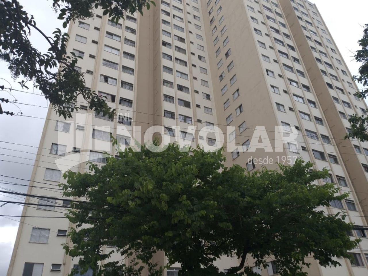 Foto 14 do imóvel VM211890