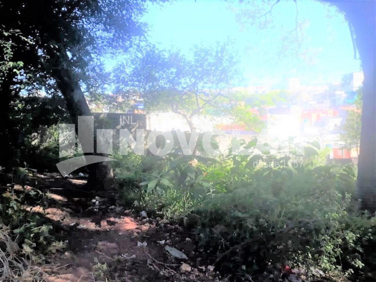 Foto 6 do imóvel VM213504