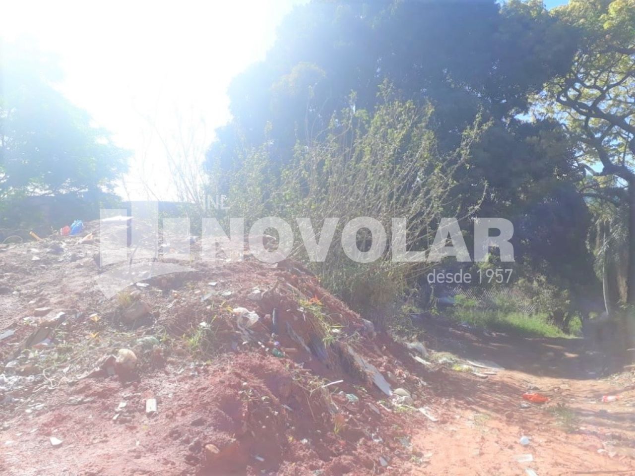 Foto 5 do imóvel VM213504