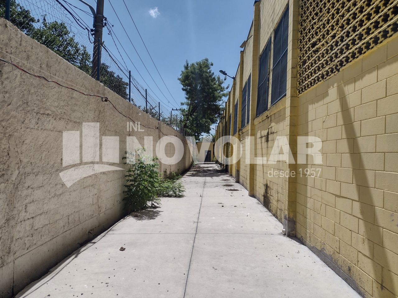 Foto 20 do imóvel VM215469