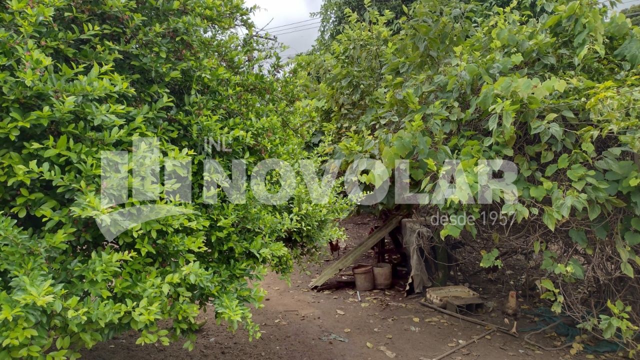 Foto 5 do imóvel VM216429