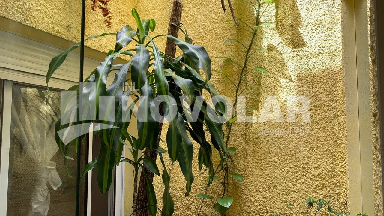 Foto 31 do imóvel VM216556