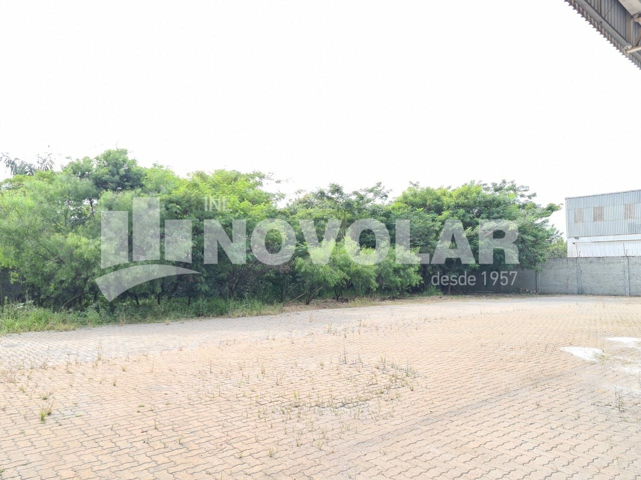 Foto 35 do imóvel VM216847