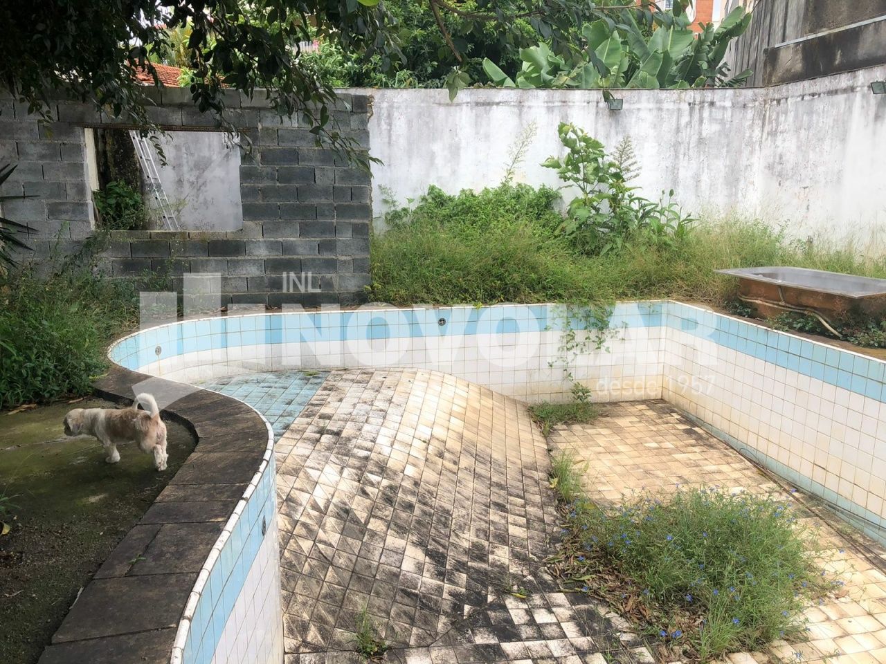 Foto 3 do imóvel VM217433