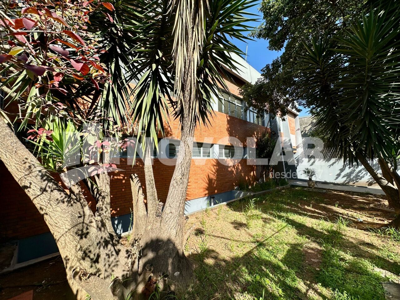 Foto 6 do imóvel VM217510