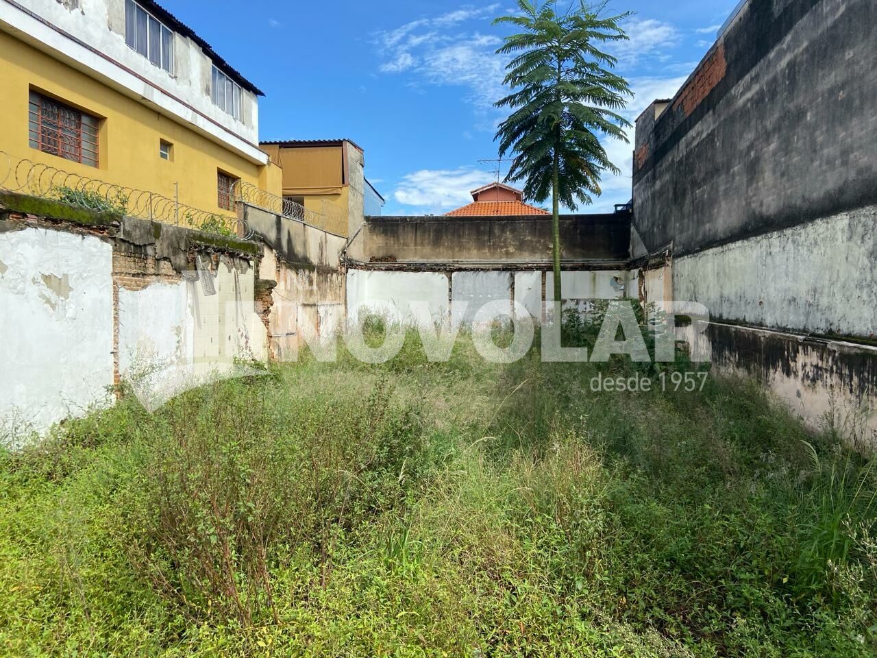 Foto 5 do imóvel VM217839