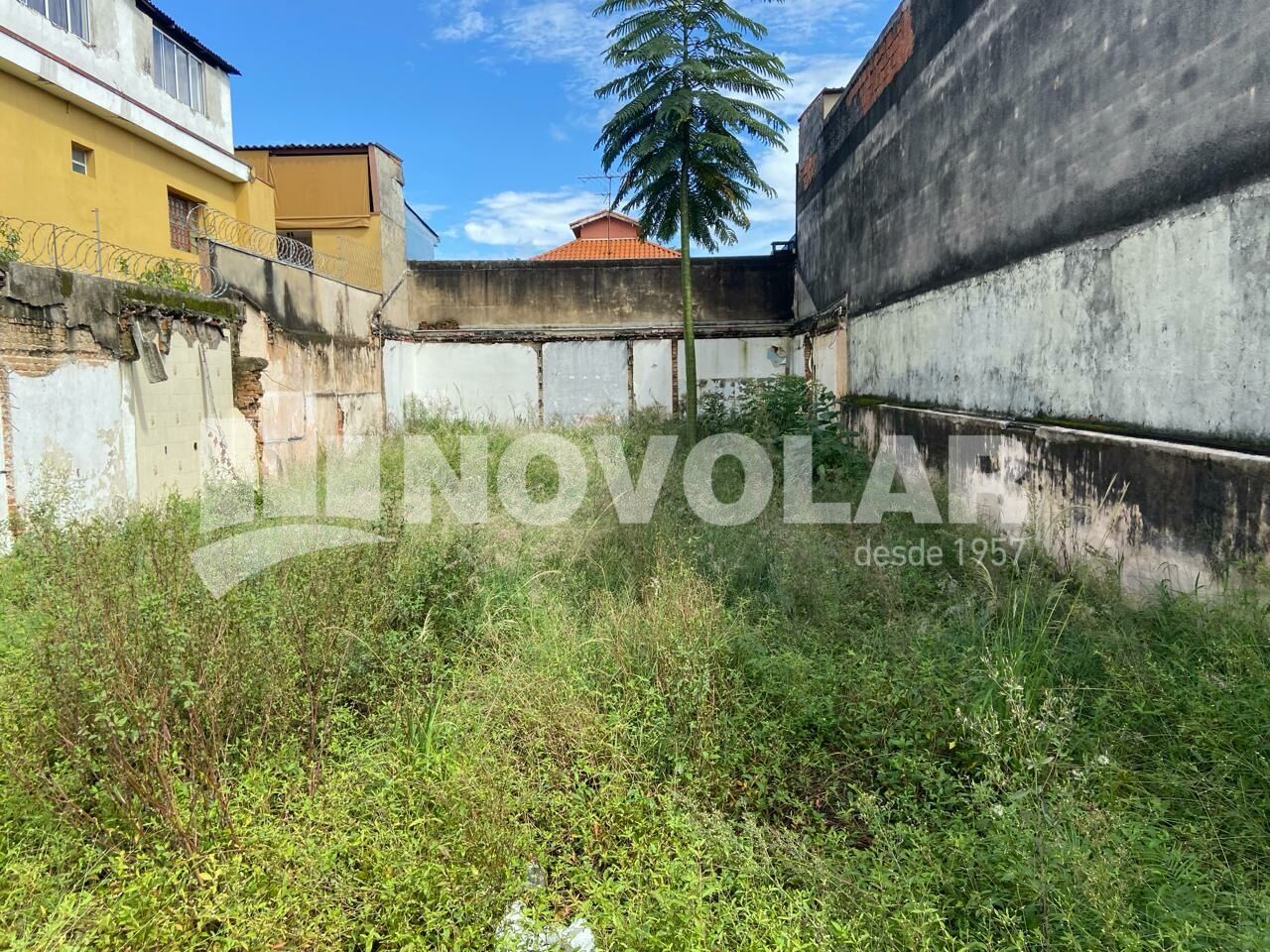 Foto 6 do imóvel VM217839