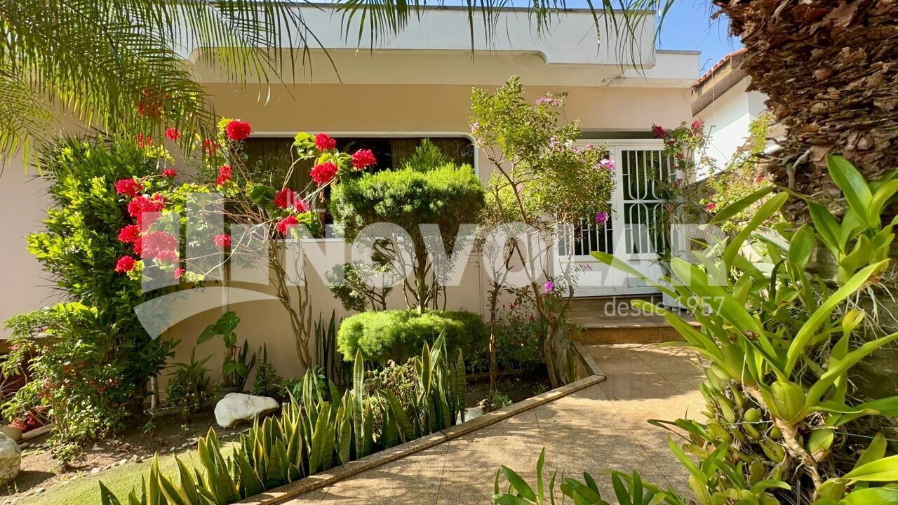 Foto 33 do imóvel VM218316