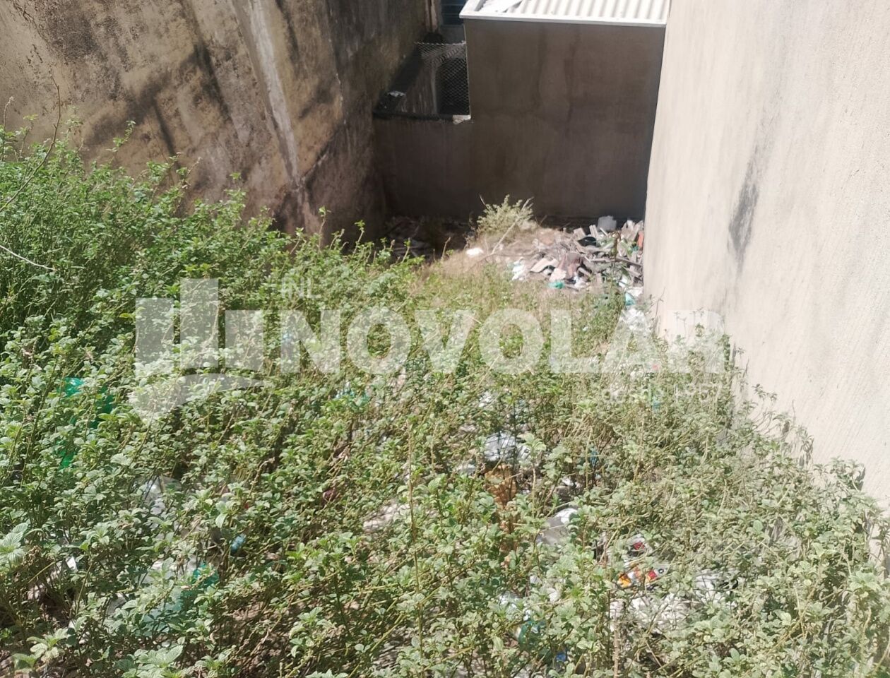 Foto 3 do imóvel VM218510