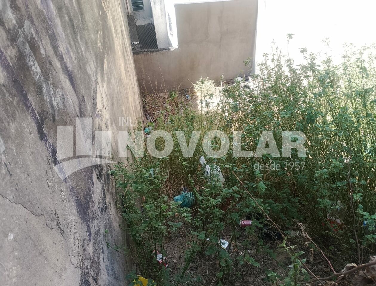 Foto 4 do imóvel VM218510