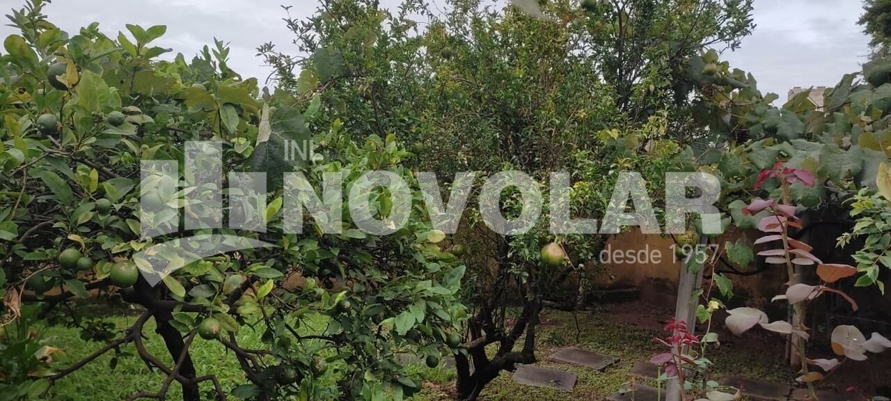 Foto 25 do imóvel VM218751