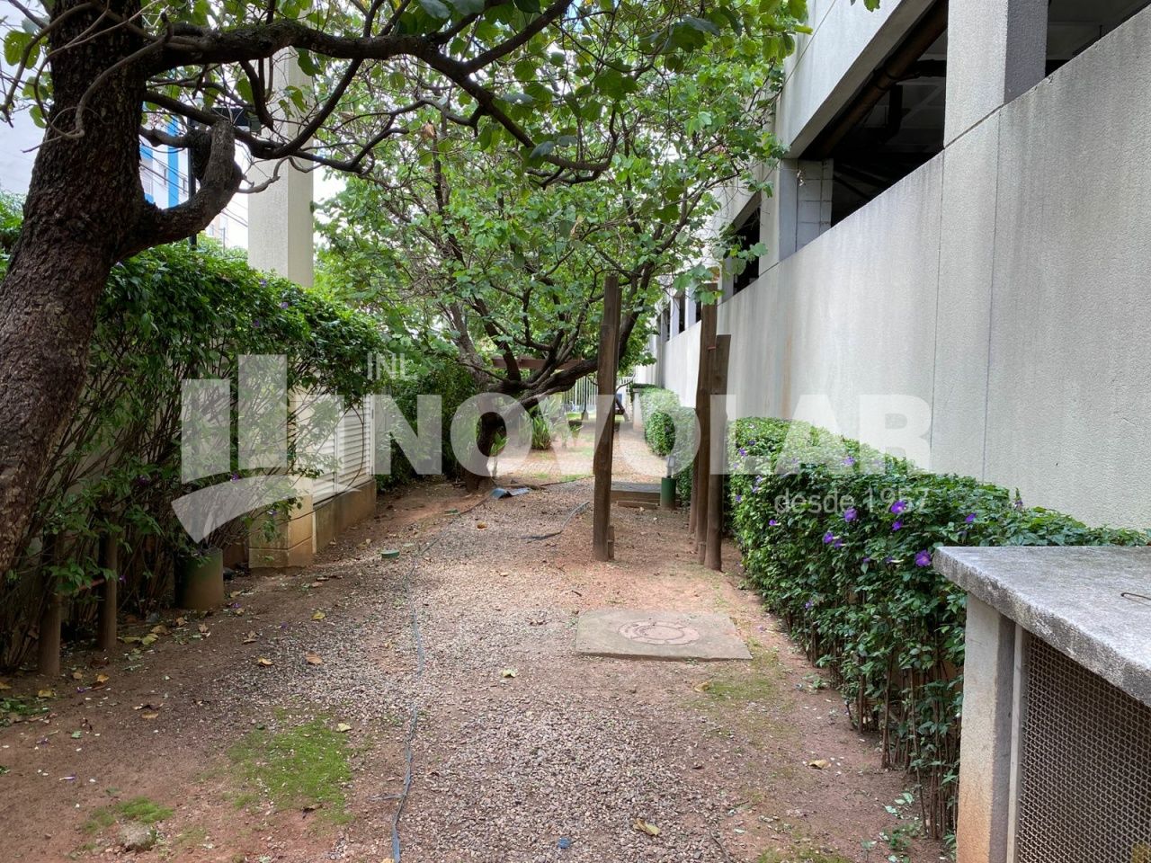 Foto 36 do imóvel VM218816