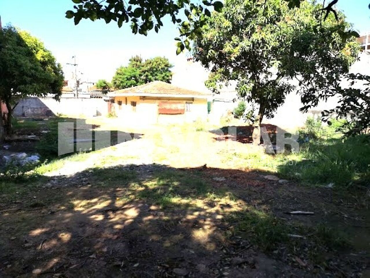 Foto 6 do imóvel VM218872