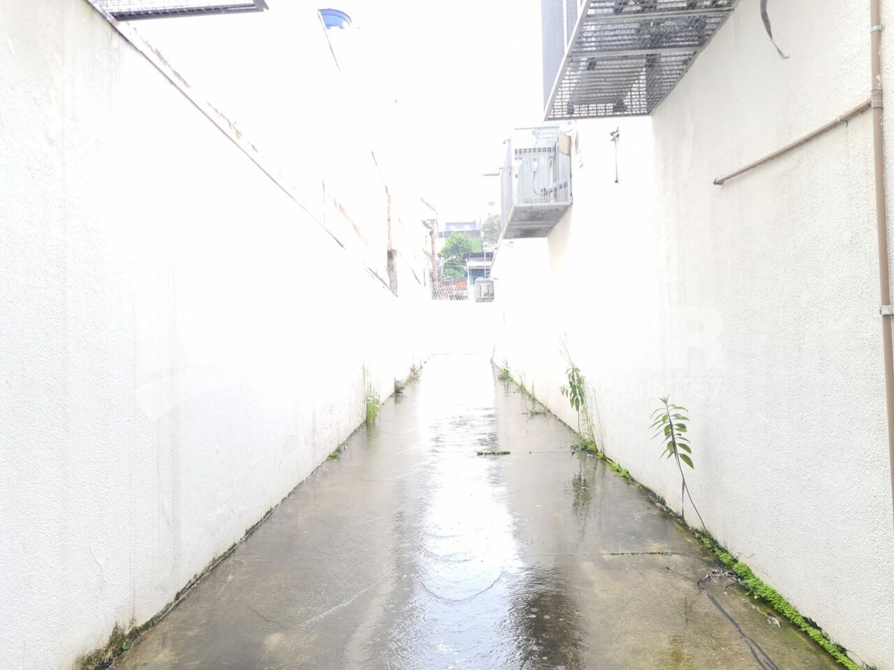 Foto 25 do imóvel VM218924