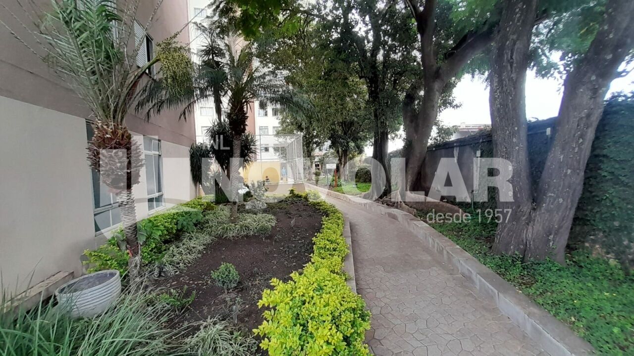 Foto 23 do imóvel VM218925