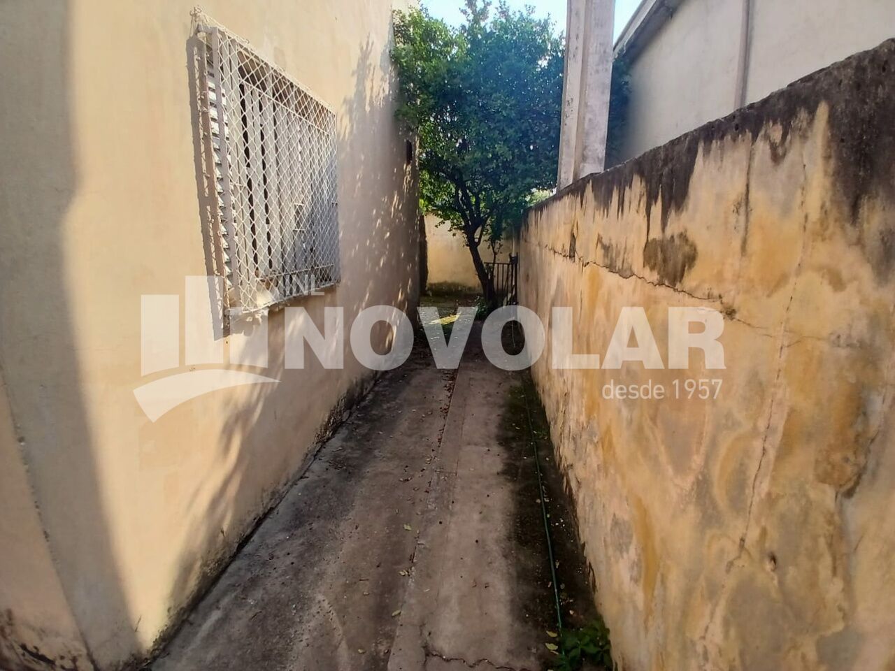 Foto 32 do imóvel VM219039