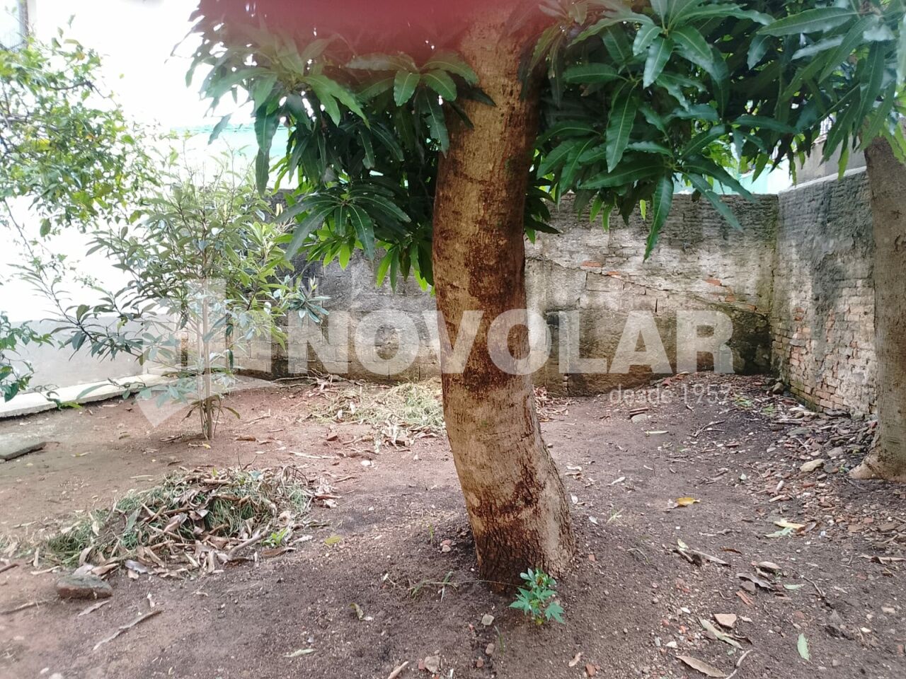 Foto 25 do imóvel VM219162