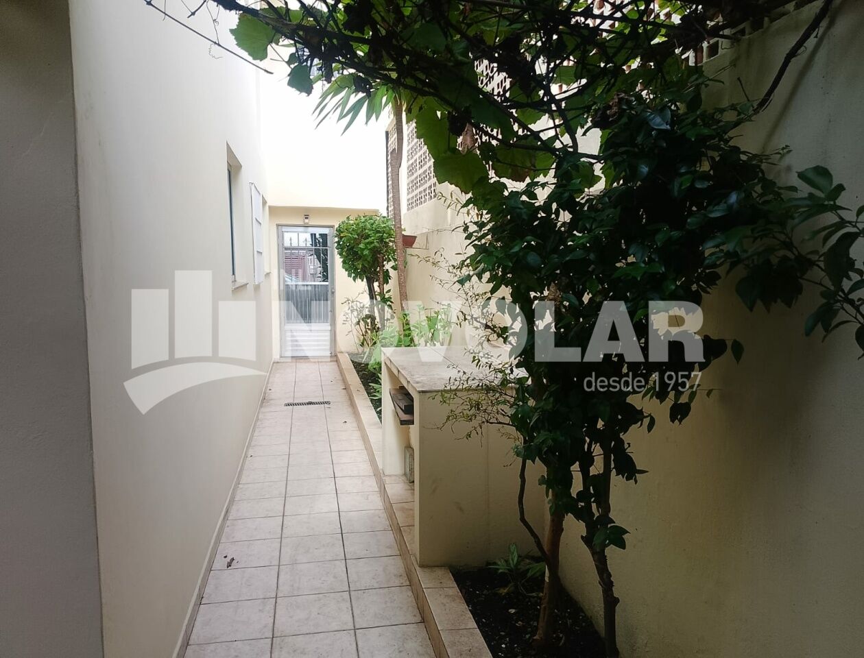 Foto 25 do imóvel VM219221