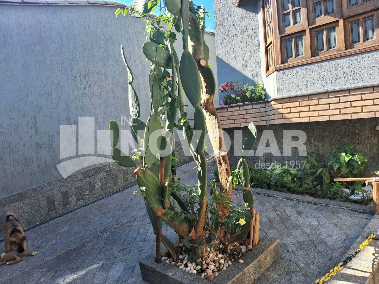 Foto 21 do imóvel VM219398