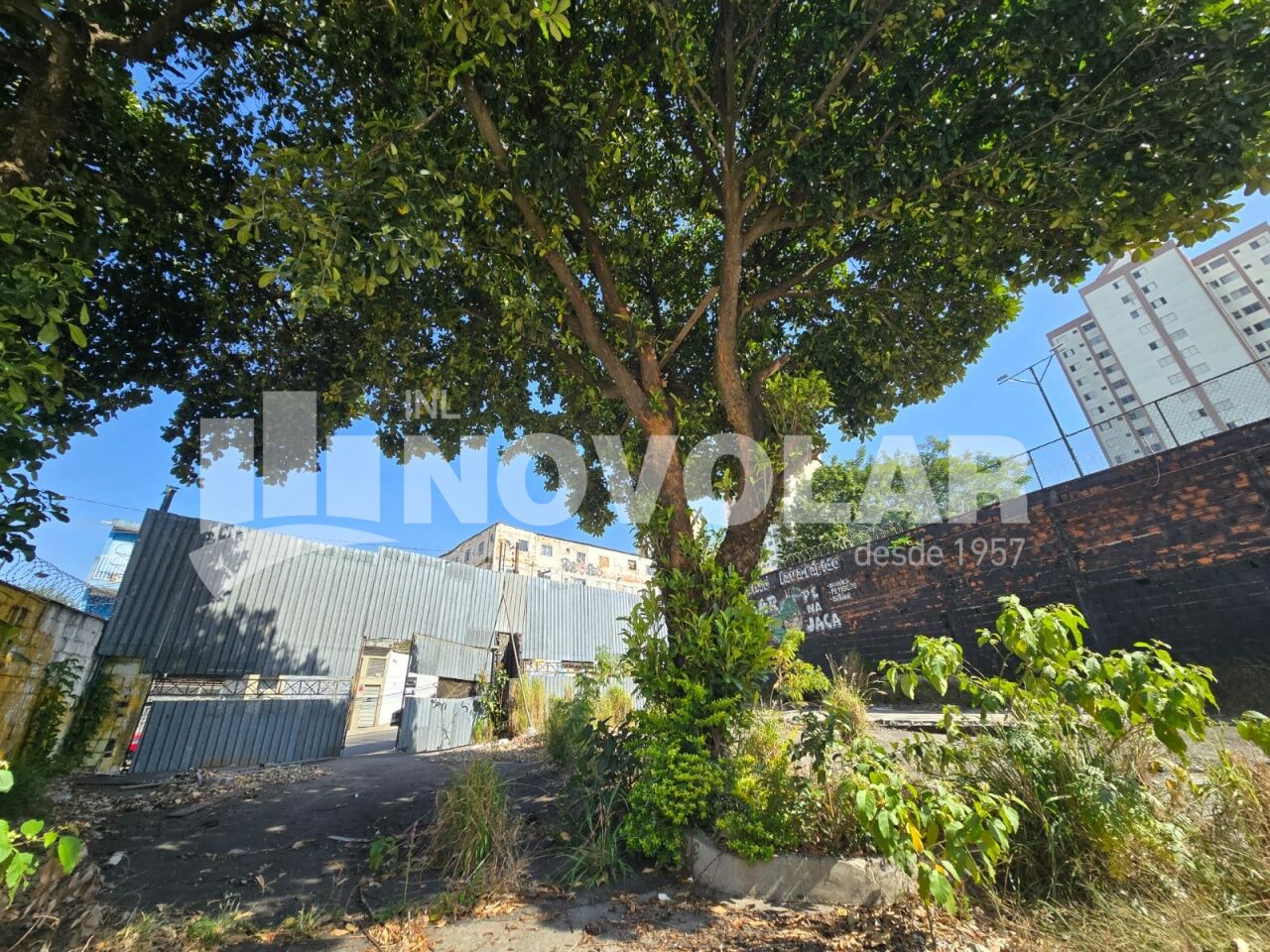 Foto 14 do imóvel VM219465