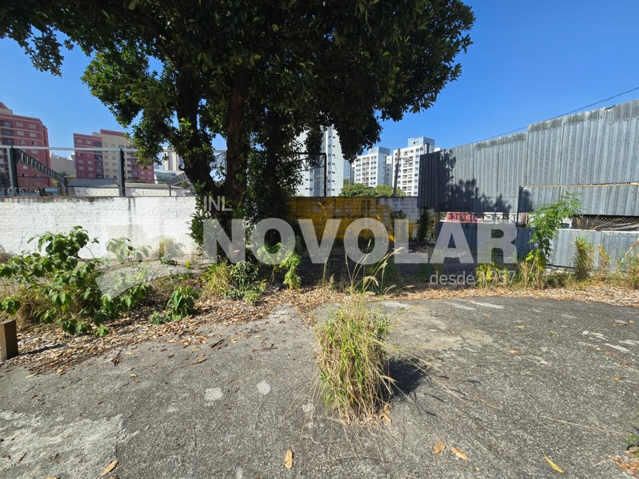 Foto 12 do imóvel VM219465