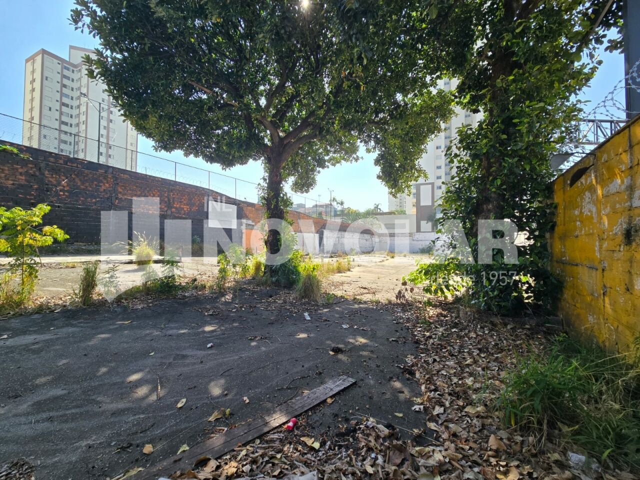 Foto 13 do imóvel VM219465